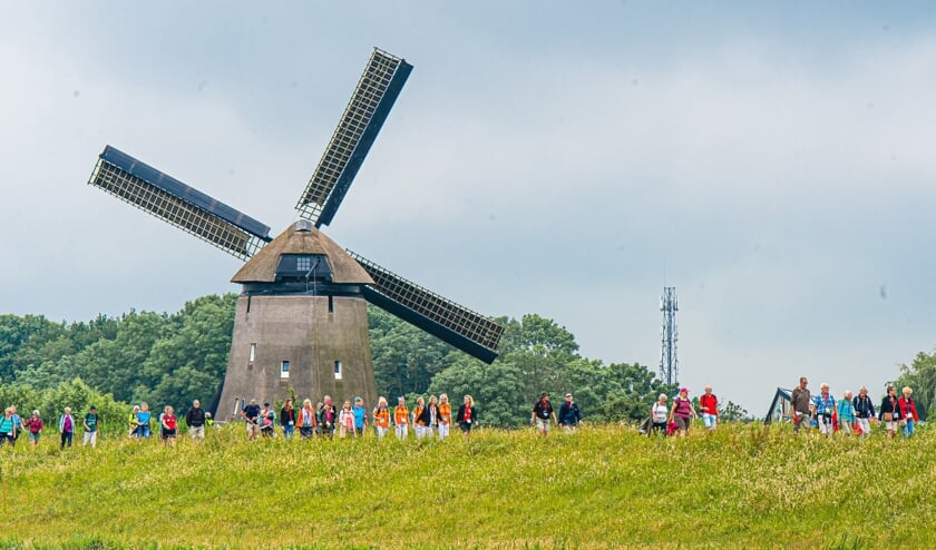 Wandelaars lopen door de polder.