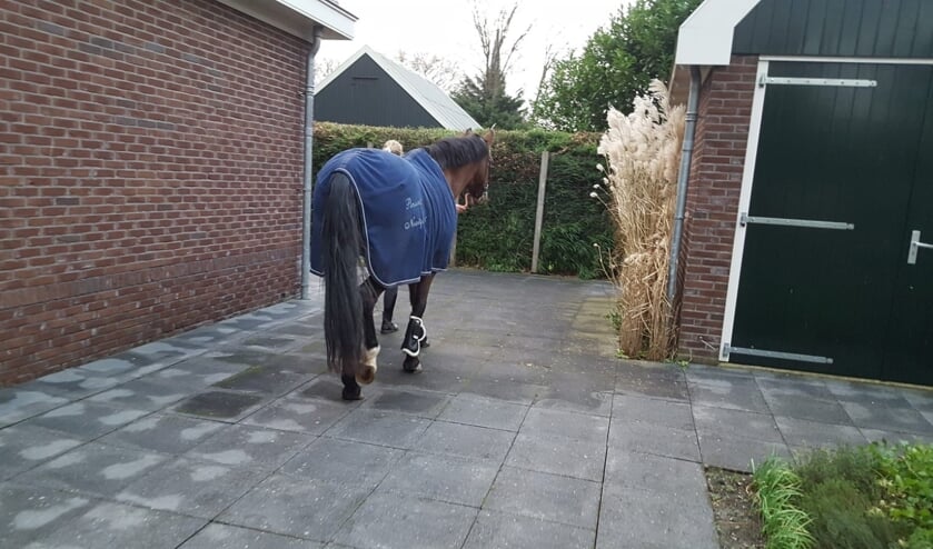 Vedet op weg naar de bewonerskamer