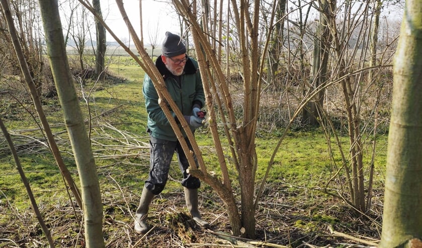 Help de natuur een handje.