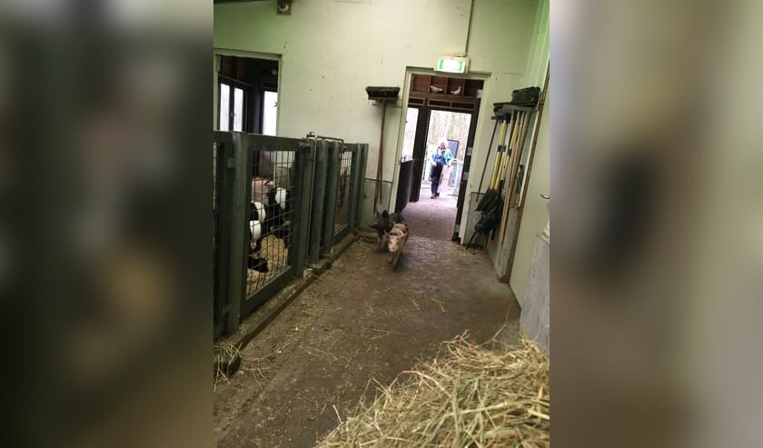 Helderse Vallei heeft nieuwe bewoners.