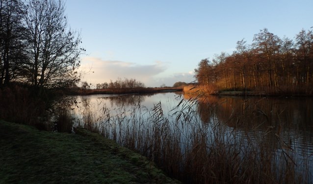 De prachtige natuur van het Streekbos.