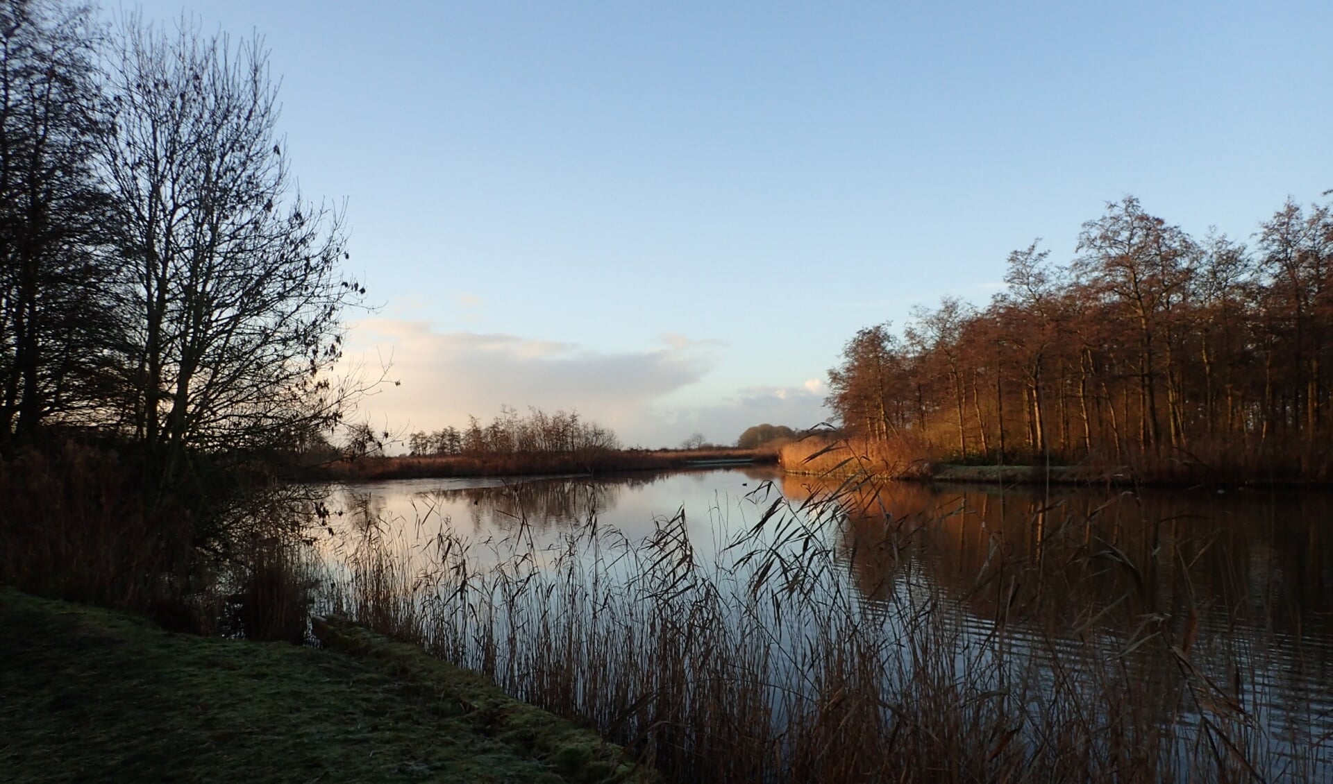 De prachtige natuur van het Streekbos.