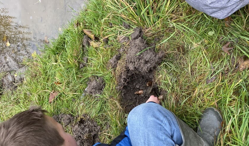 De BSO-kinderen van SKH komen graag spelen in Het Boezelbos.