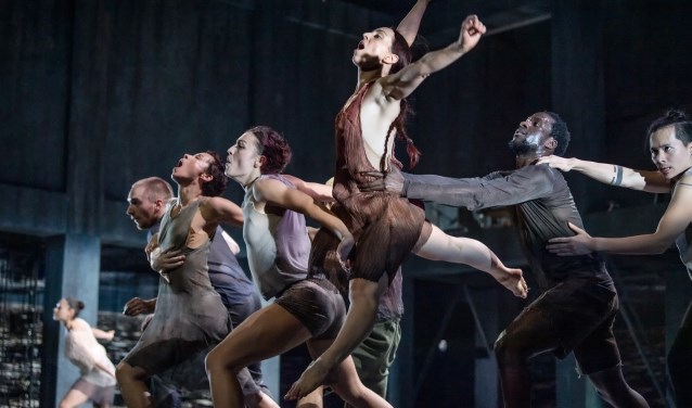 Conny Janssen Danst.