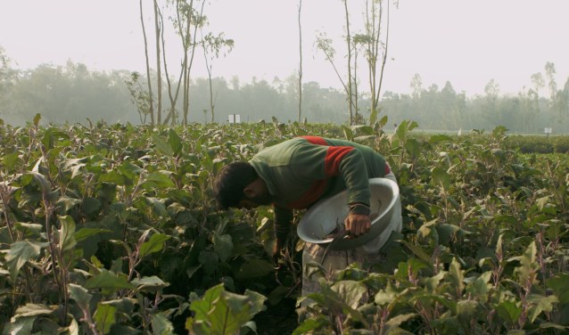Documentaire Well Fed laat impact zien van verzet tegen genetisch modificeren van landbouwgewassen.