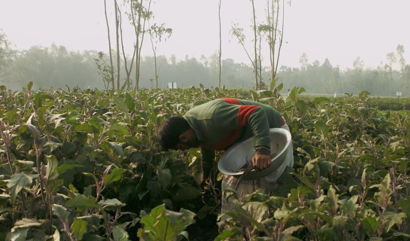 Documentaire Well Fed laat impact zien van verzet tegen genetisch modificeren van landbouwgewassen.