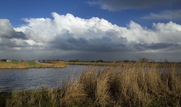 Stiltegebied Jisperveld.
