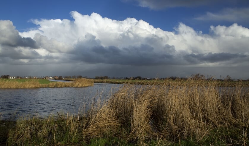 Stiltegebied Jisperveld.