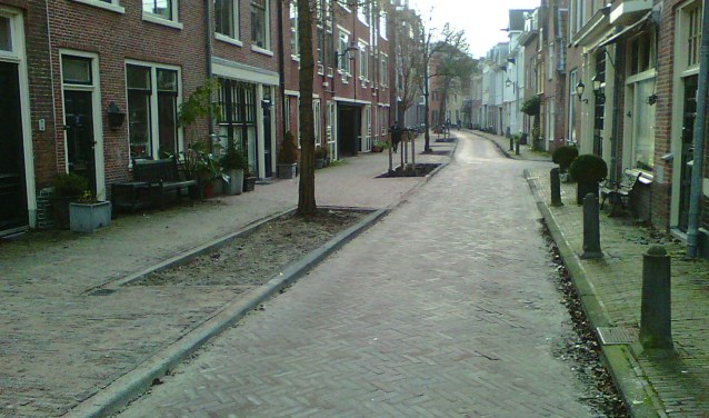 Nu nog kaal maar in de lente wordt het mooi groen.