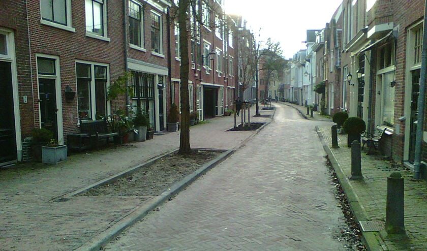Nu nog kaal maar in de lente wordt het mooi groen.