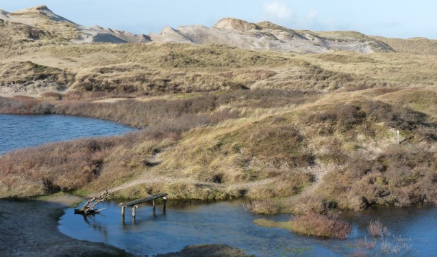 Gedeputeerde Esther Rommel (Natuur en Landschap): "We kijken samen met de betrokkenen per gebied wat nodig is om de stikstofdepositie in onze Natura 2000-gebieden te laten afnemen.