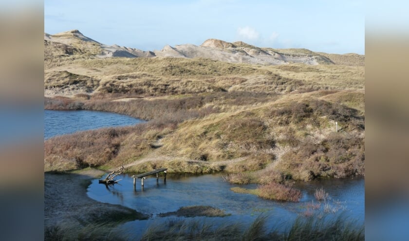 Gedeputeerde Esther Rommel (Natuur en Landschap): "We kijken samen met de betrokkenen per gebied wat nodig is om de stikstofdepositie in onze Natura 2000-gebieden te laten afnemen.