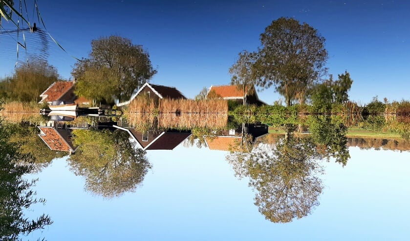 De Vijfhuizerdijk als een zoekplaat. Vind de eend! PS: bekijk de gehele foto onderaan het artikel.