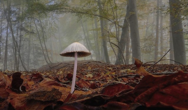 Leg de natuur, een foto van Frank Nieuwenhuizen.