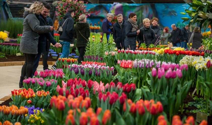 Lentetuin Breezaand.