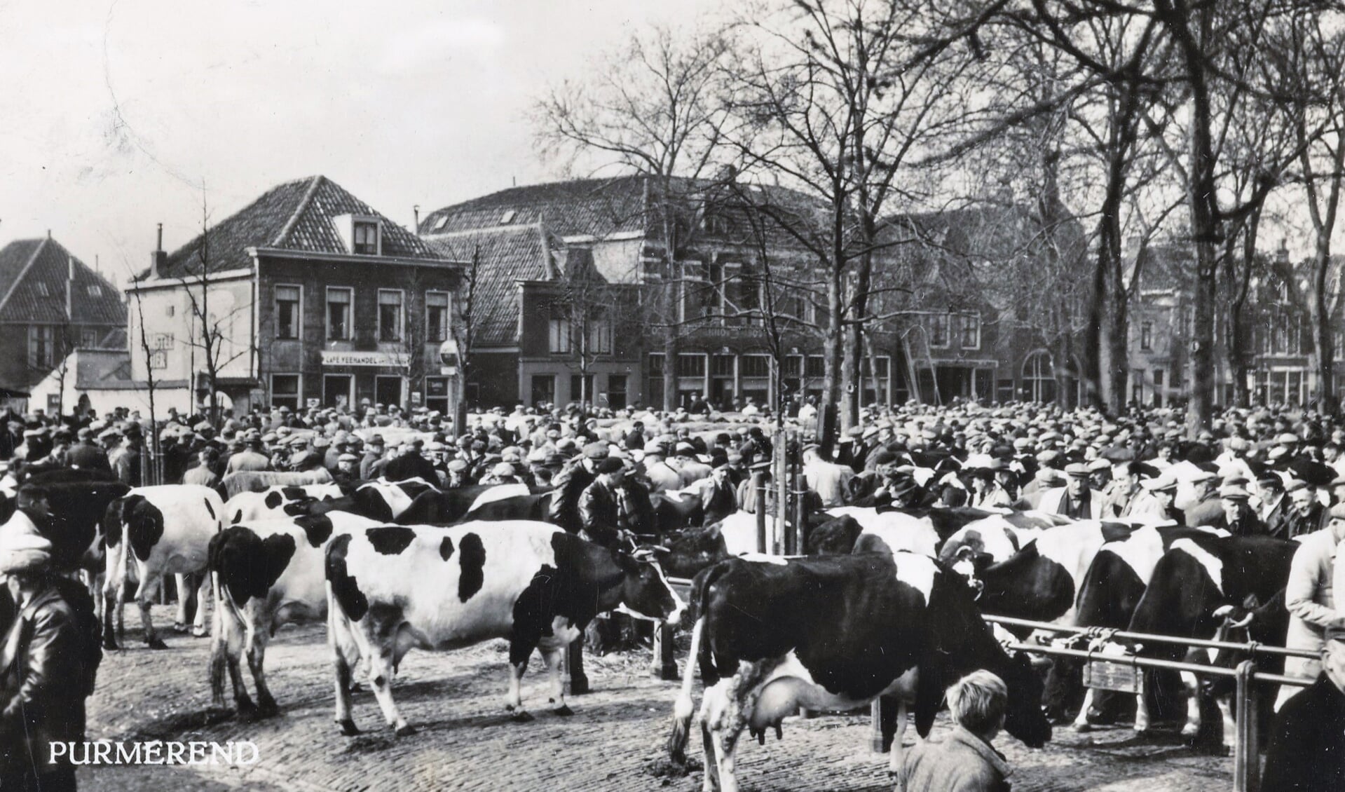 De Koemarkt in volle glorie rond 1950.