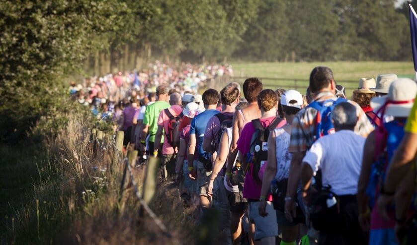 Wandelvierdaagse