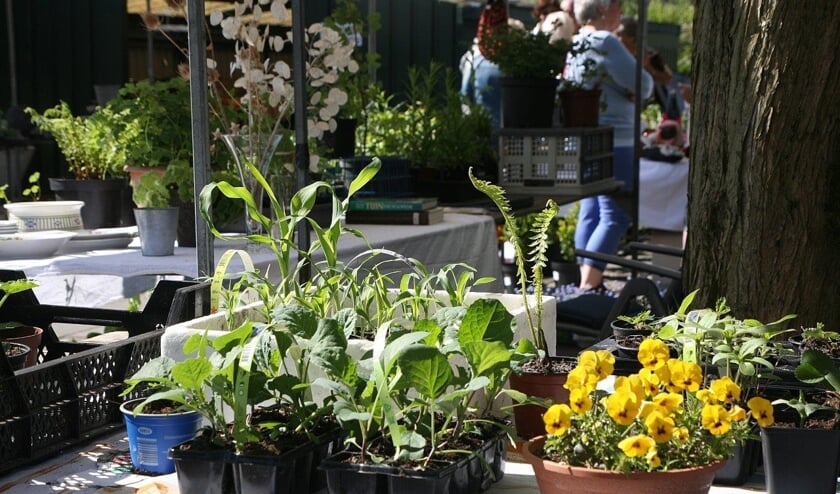 ATV Texelstroom houdt zaterdag 4 mei een stekkenmarkt.