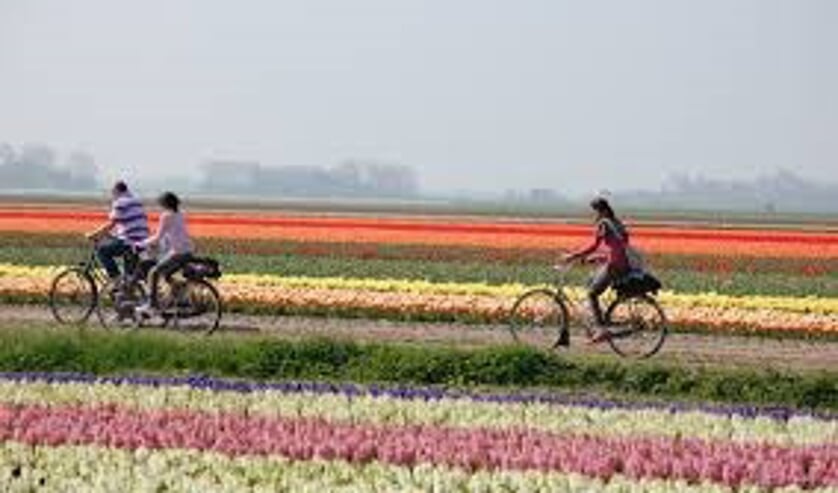 Fietstocht langs mooie plekken.