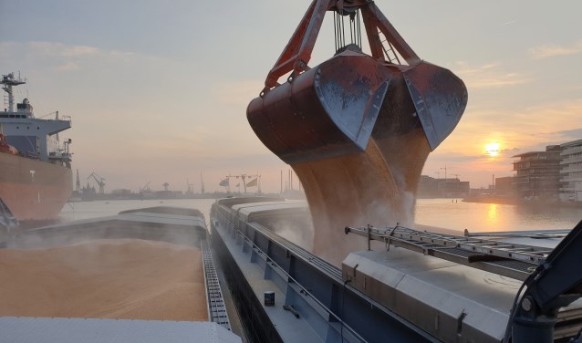 Allround Marine Service verzorgt onder andere het veilig lossen van scheepsladingen.