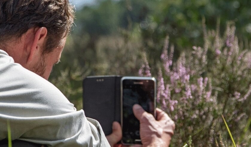 Staatsbosbeheer biedt een serie workshops natuurfotografie aan.