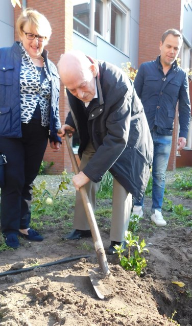 De heer Stuster plant zijn eigen berkenboom.