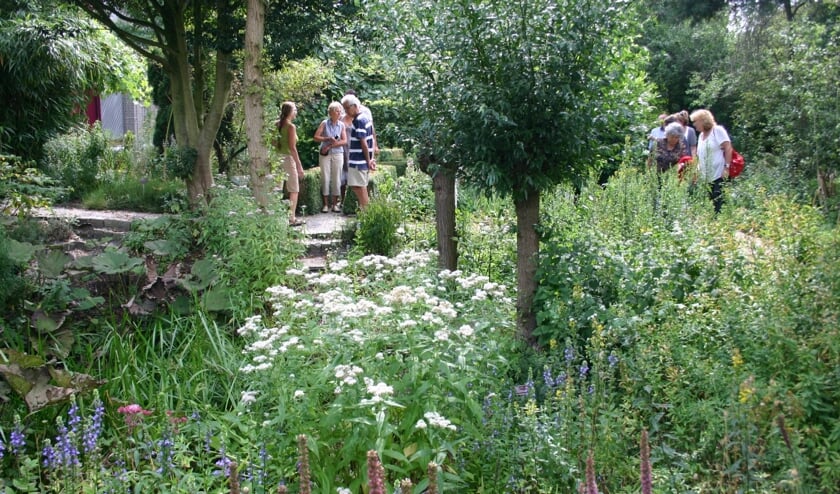 Zondagochtendwandelingen Hortus.