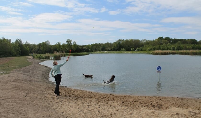 De hondenzwemplek is aangelegd op het deel waar honden toch al los mogen lopen.