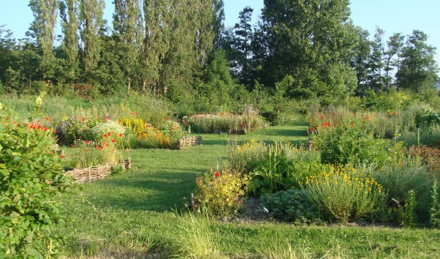 De Kloostertuin is een rijk bloeiende kruidentuin op de plek waar vroeger klooster Nieuwlicht stond.