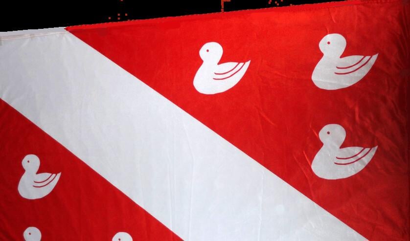 De 'geknotte merels' zijn kenmerkend voor de vlag van bergen.