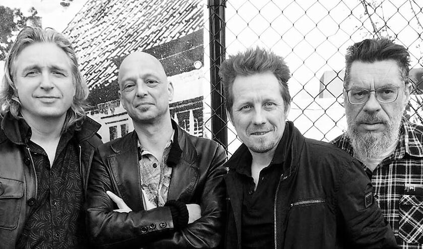 Band The Hoochies.