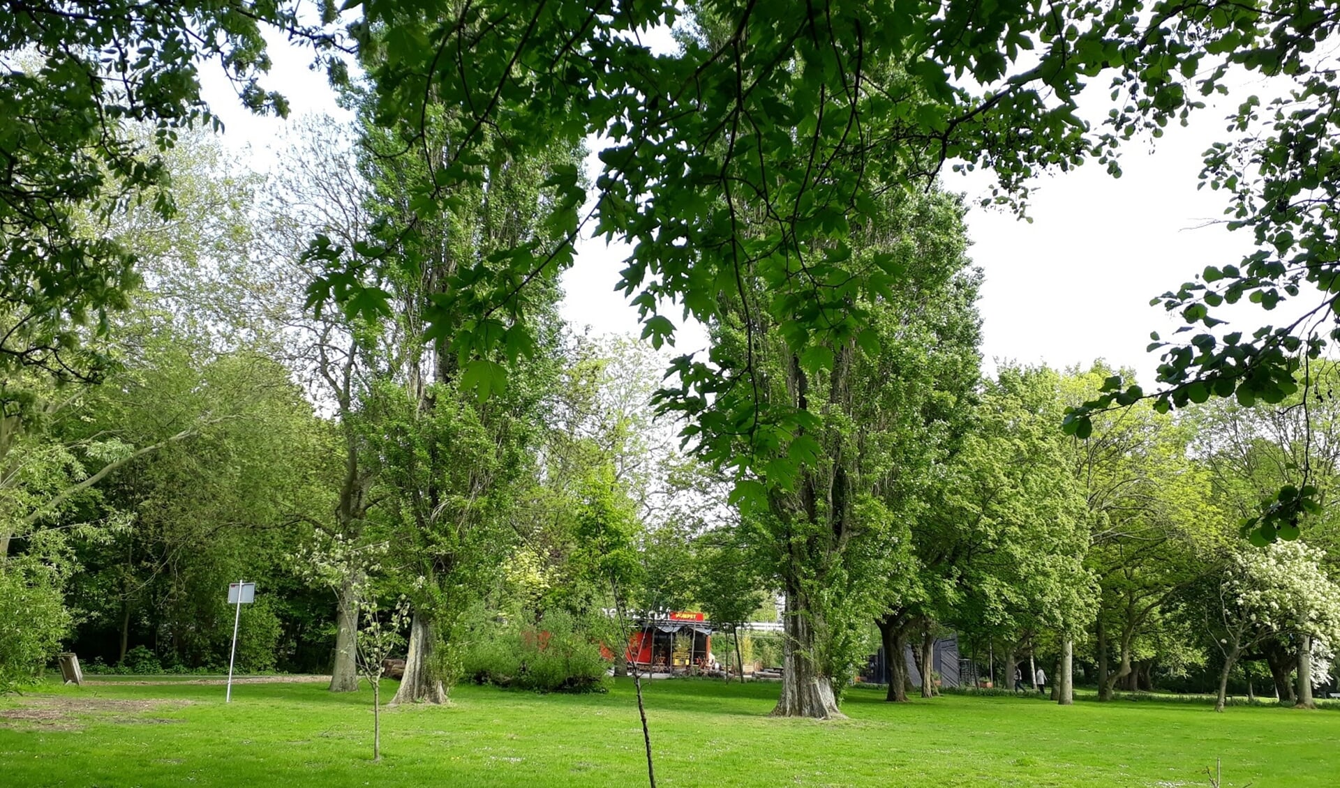 Een groen Noorderpark.