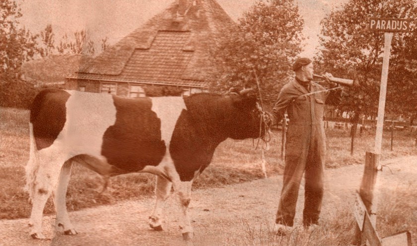 Bezoek eens de expositie over vroegere tijden in het Rundveemuseum.