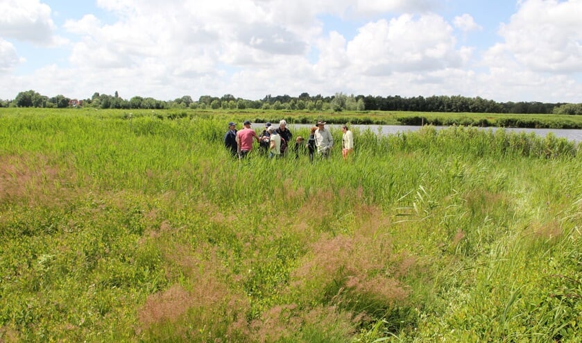 Op zoek naar eetbare planten in Ilperveld