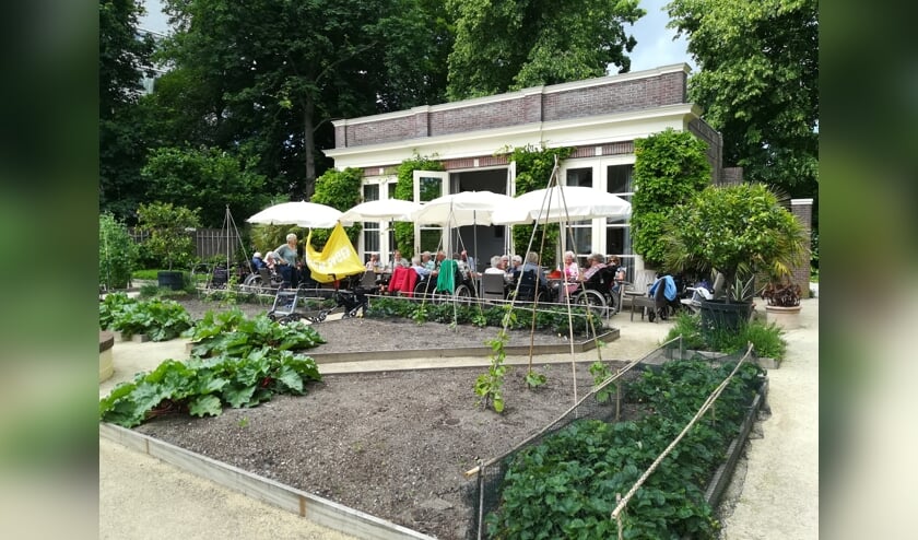 De ouderen hebben schik bij de high tea.