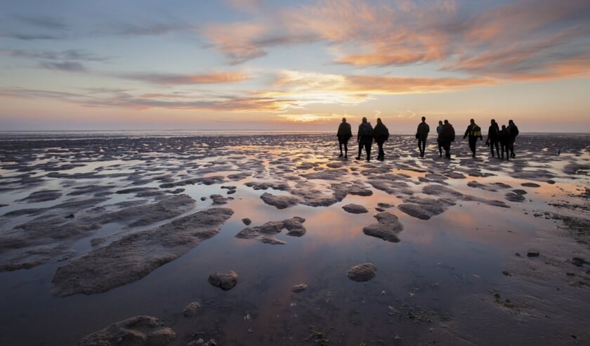 Dag van het Wad!