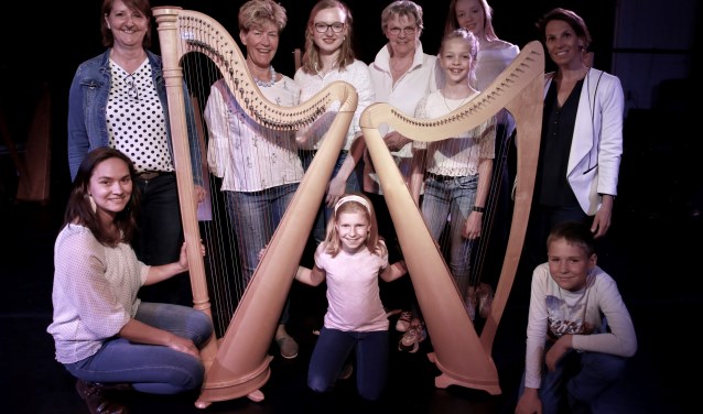 Kennemer Harpensemble.