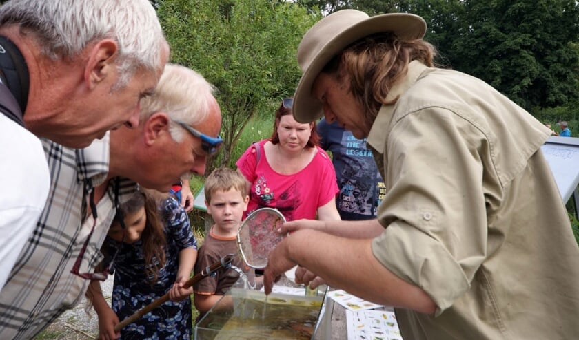 Met de expert op zoek naar biodiversiteit.
