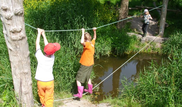 Klauteren en ravotten in de natuur.
