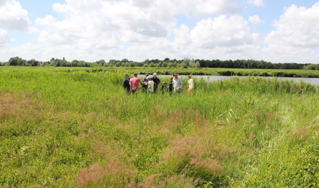 Op zoek naar eetbare planten in Ilperveld