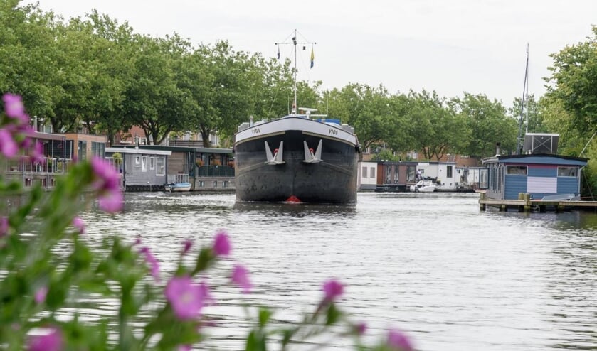 Zwemmen in het Spaarne is niet aan te raden.