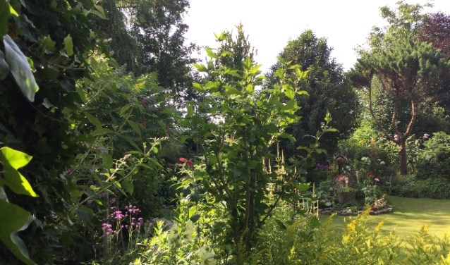 In de tuin van Cees en Tiny Tensen zijn veel diverse hoekjes verwerkt.