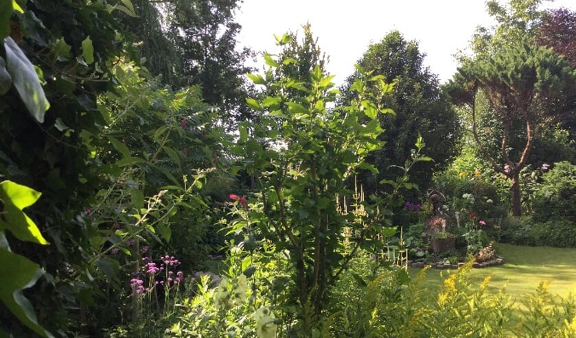In de tuin van Cees en Tiny Tensen zijn veel diverse hoekjes verwerkt.