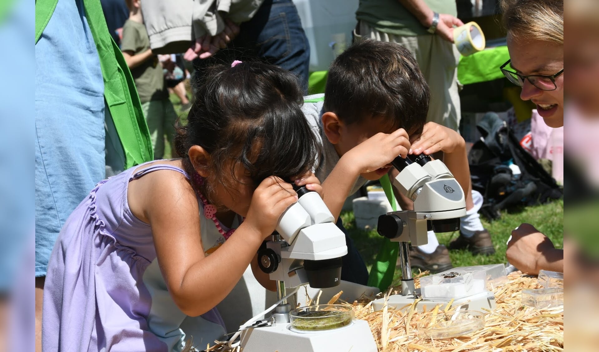 Kijken door een microscoop naar waterbeestjes.