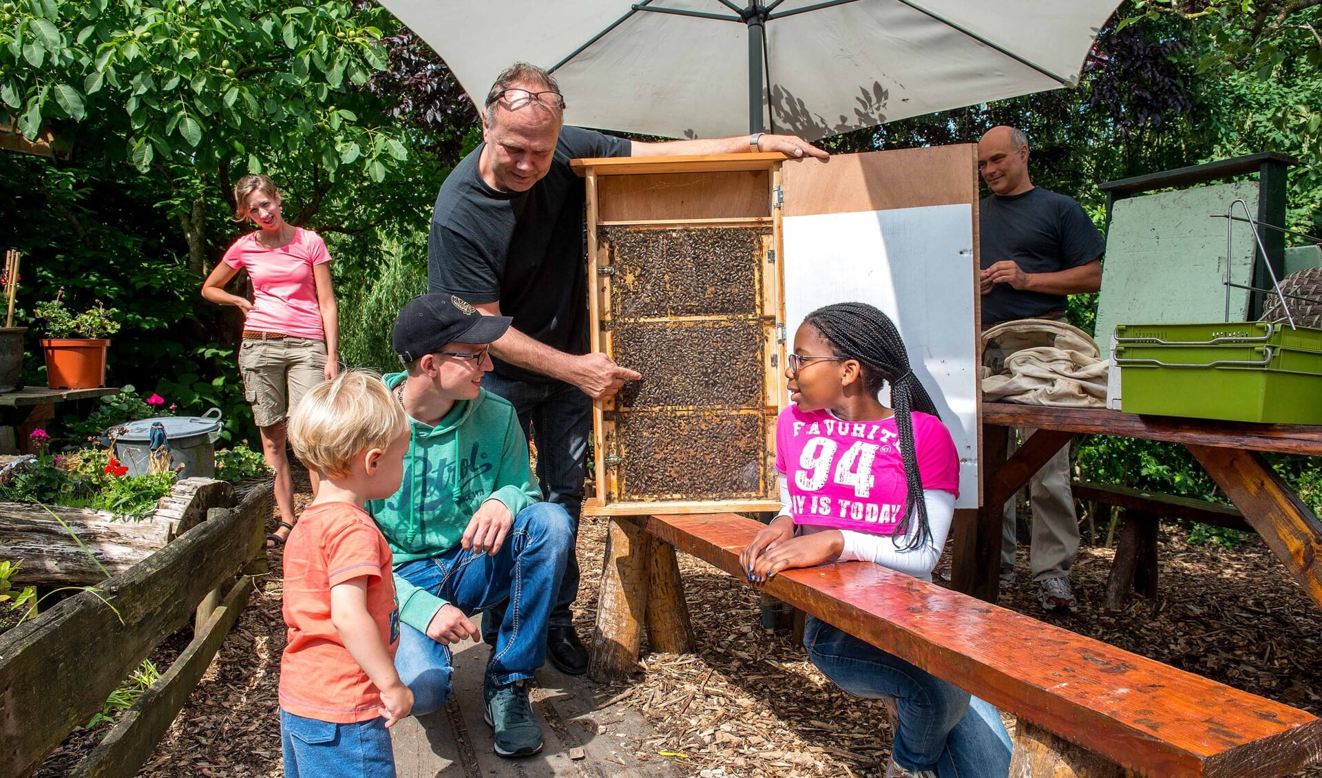 Kom alles te weten over het bijenleven tijdens de open imkerijdagen.
