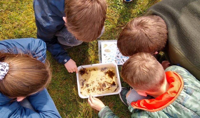Speuren naar kriebelbeestjes.