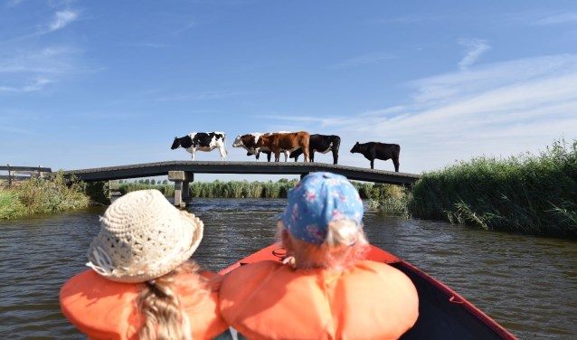 Eén van de inzendingen van vorig jaar: Eilandspolder nabij Driehuizen.
