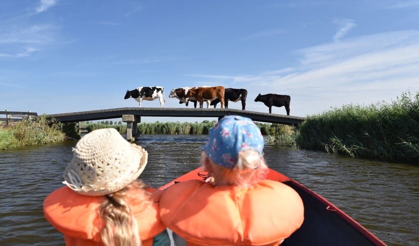 Eén van de inzendingen van vorig jaar: Eilandspolder nabij Driehuizen.