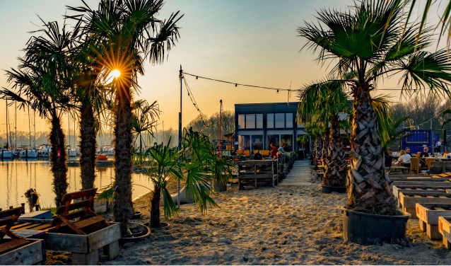 De Schelpenhoek en Oranje Buiten bieden een heerlijk stukje zandstrand om te pootje baden en te zwemmen in het Markermeer.