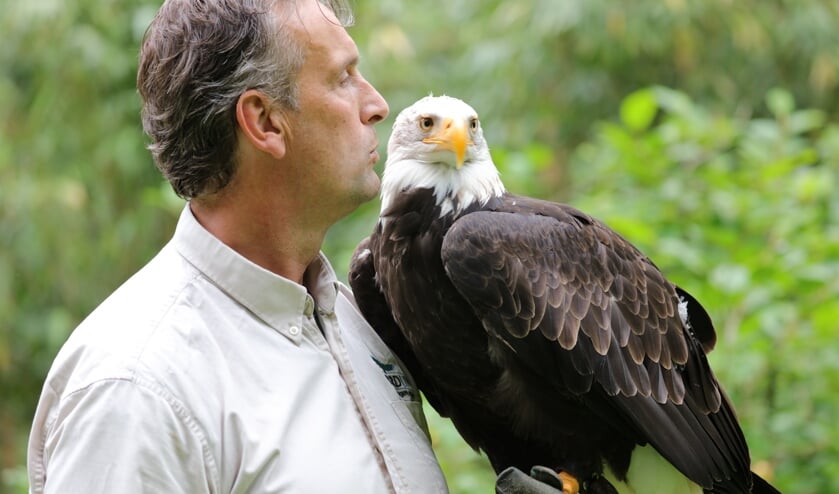De valkenier en zijn roofvogel.